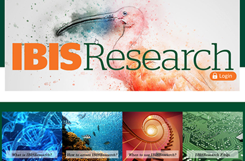 ibisresearch website