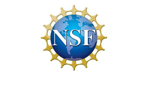 nsf logo